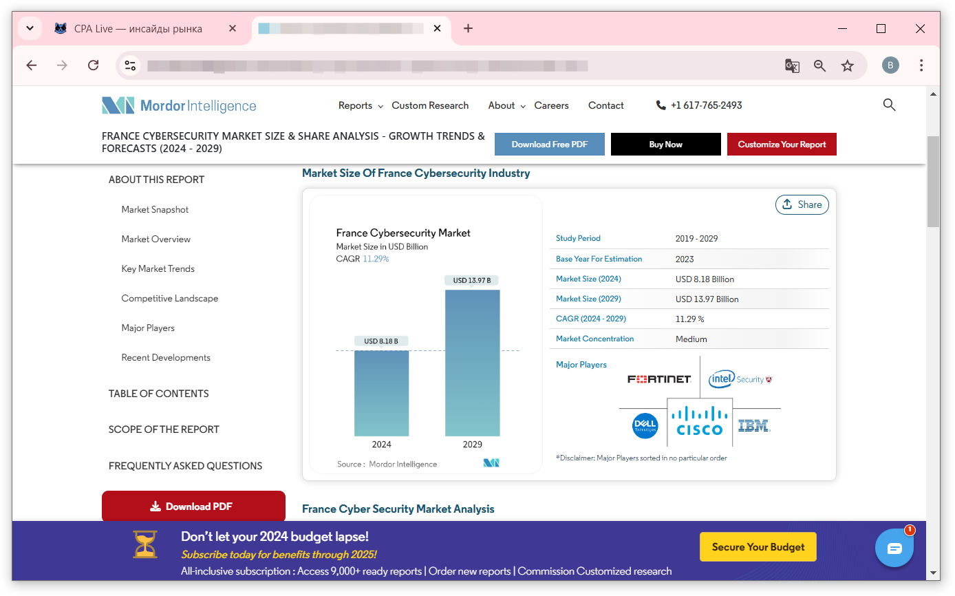 Предполагаемый прирост рынка кибербезопасности во Франции к 2029 г. | CPA Live